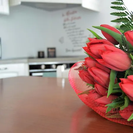 La Collina Del Poeta * Arqua Petrarca