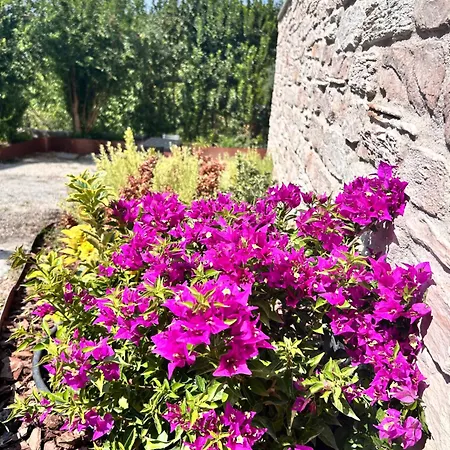 La Collina Del Poeta Arqua Petrarca